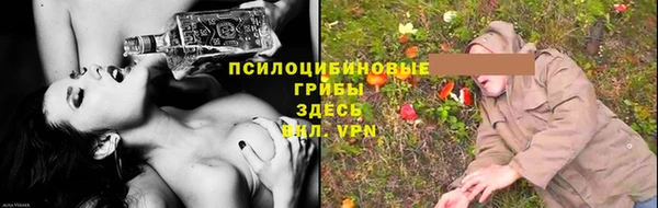 СК Елизово