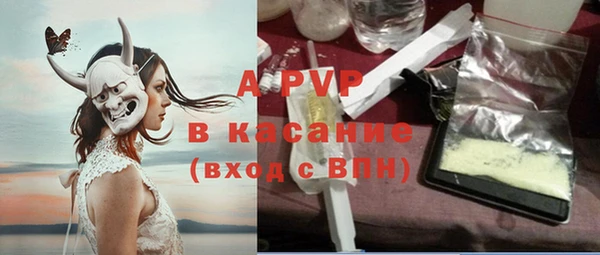 СК Елизово