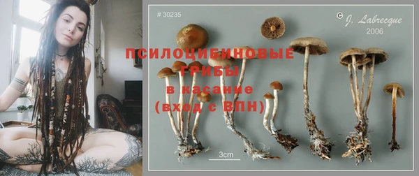 дурь Каменногорск