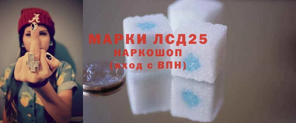 СК Елизово