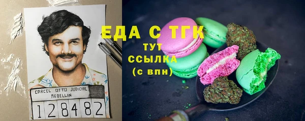 СК Елизово