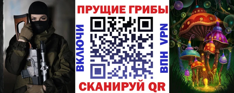 Купить где  Зима  Псилоцибиновые грибы Magic Shrooms 